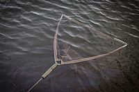 RCG - Venator Netfloat Green