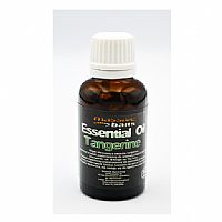 Massive Baits - Tangerine 30ml