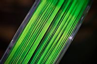 Katran - Synapse Eclipse Line 0.371mm 800m