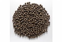 Mivardi - Rapid Boilies Starter - Monster & Halibut (3500g | 24mm)