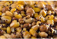 Mivardi - Premium Particle Mix 1kg