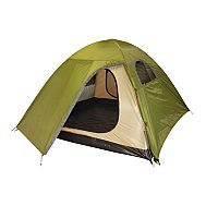 Grasshoppers - Dorset 3