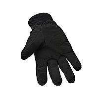 APU - Mesh Softshell 3M Insulated Gloves Shield