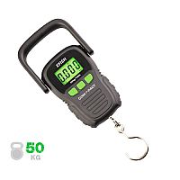 ZFish - Compact Scale