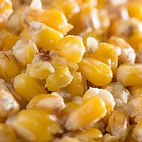 Mivardi - Corn 2.5kg