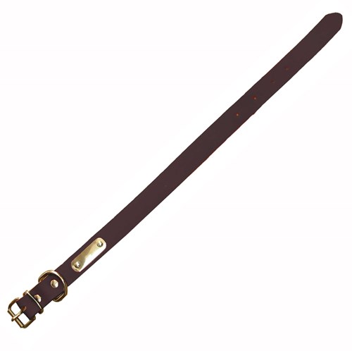 Αετός - Περιλαίμιο Σκύλου Ζ3