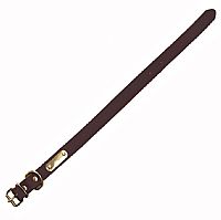 Αετός - Περιλαίμιο Σκύλου Ζ3